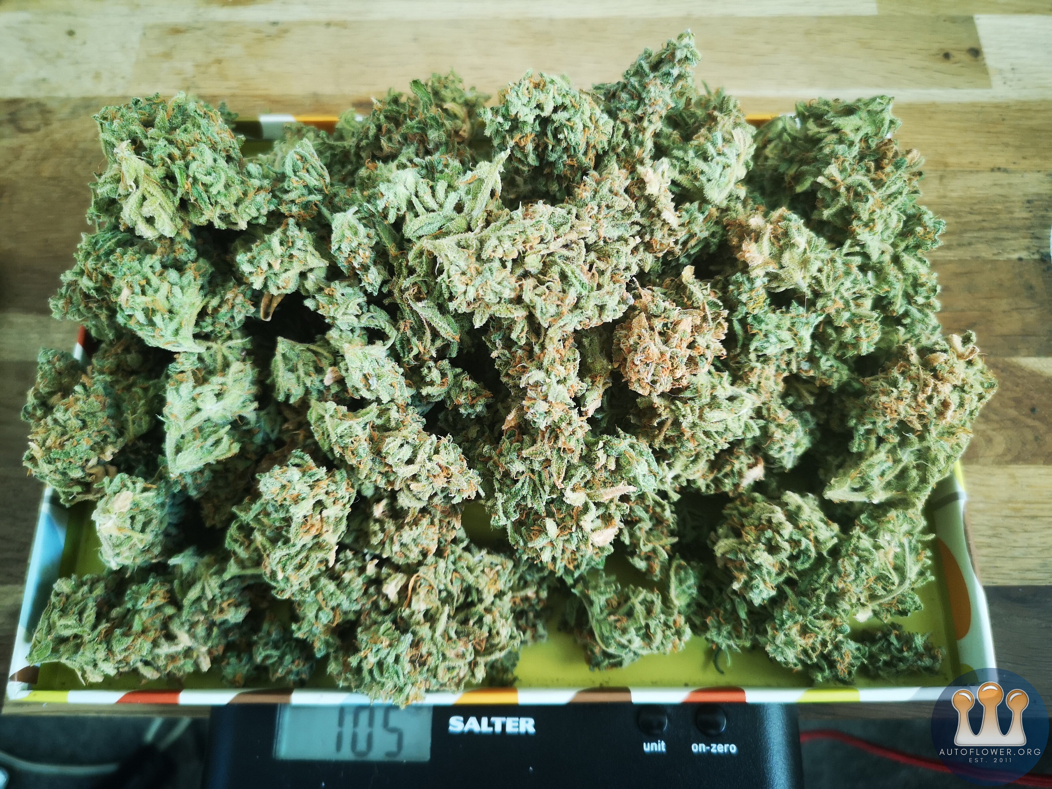 Fast Buds - Bruce Banner - 110g