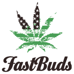 Fastbuds logo