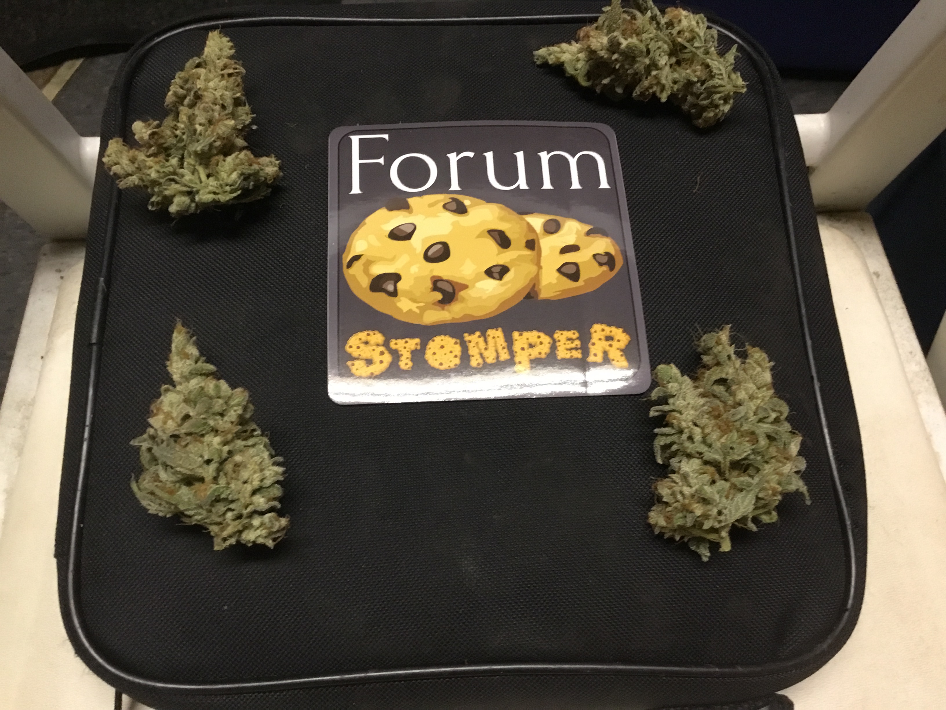 Forum Stomper buds