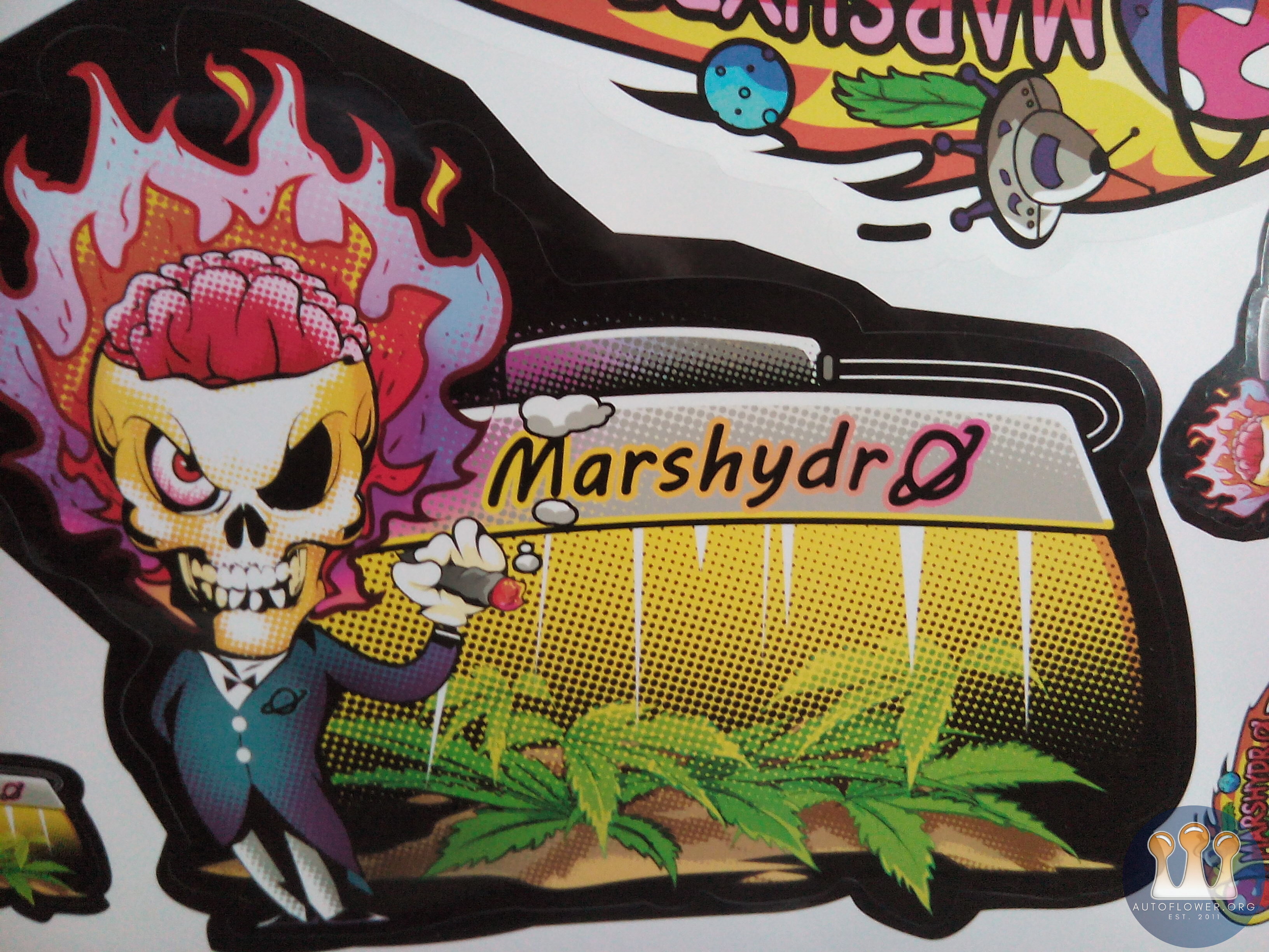 Marshydrotsw2000