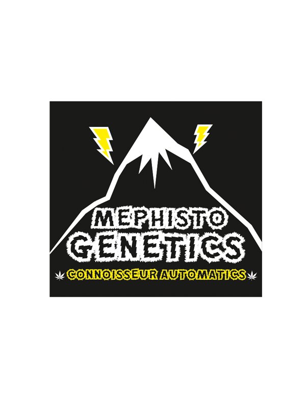 Mephisto logo black