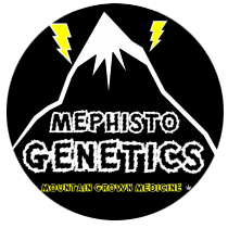 Mephisto logo round