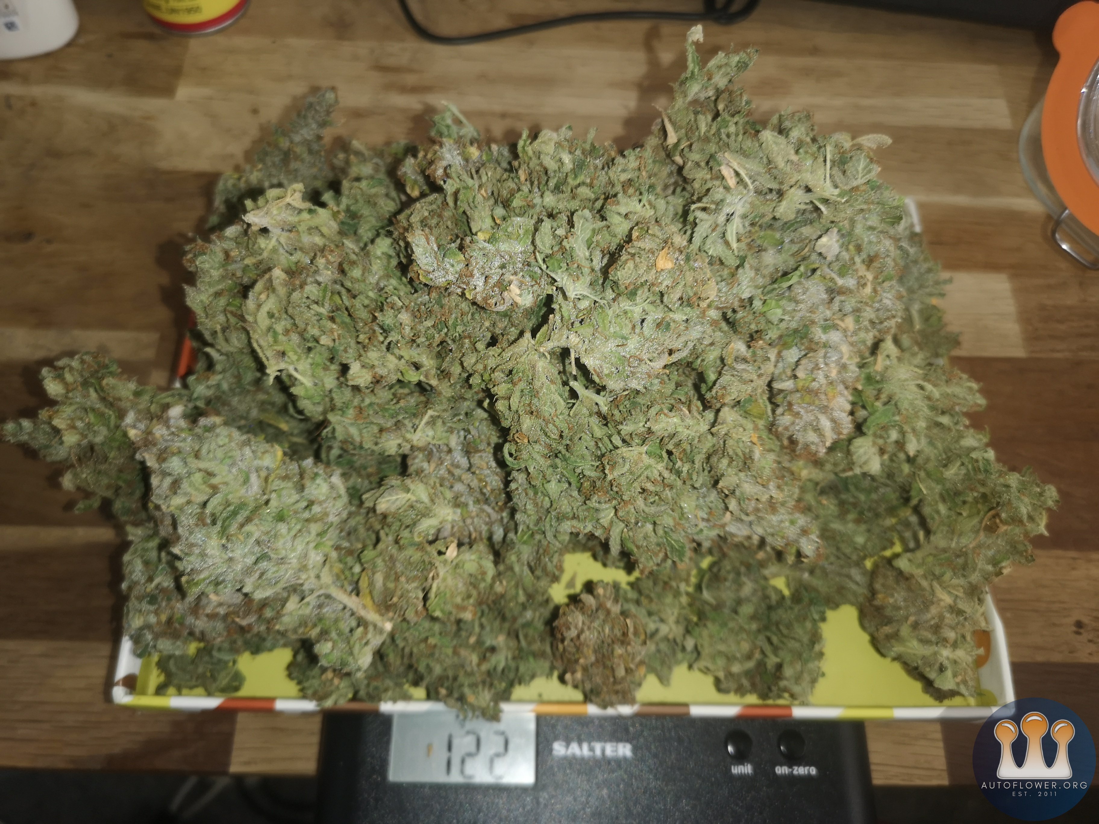 Mephisto - Mango Smile - 127g