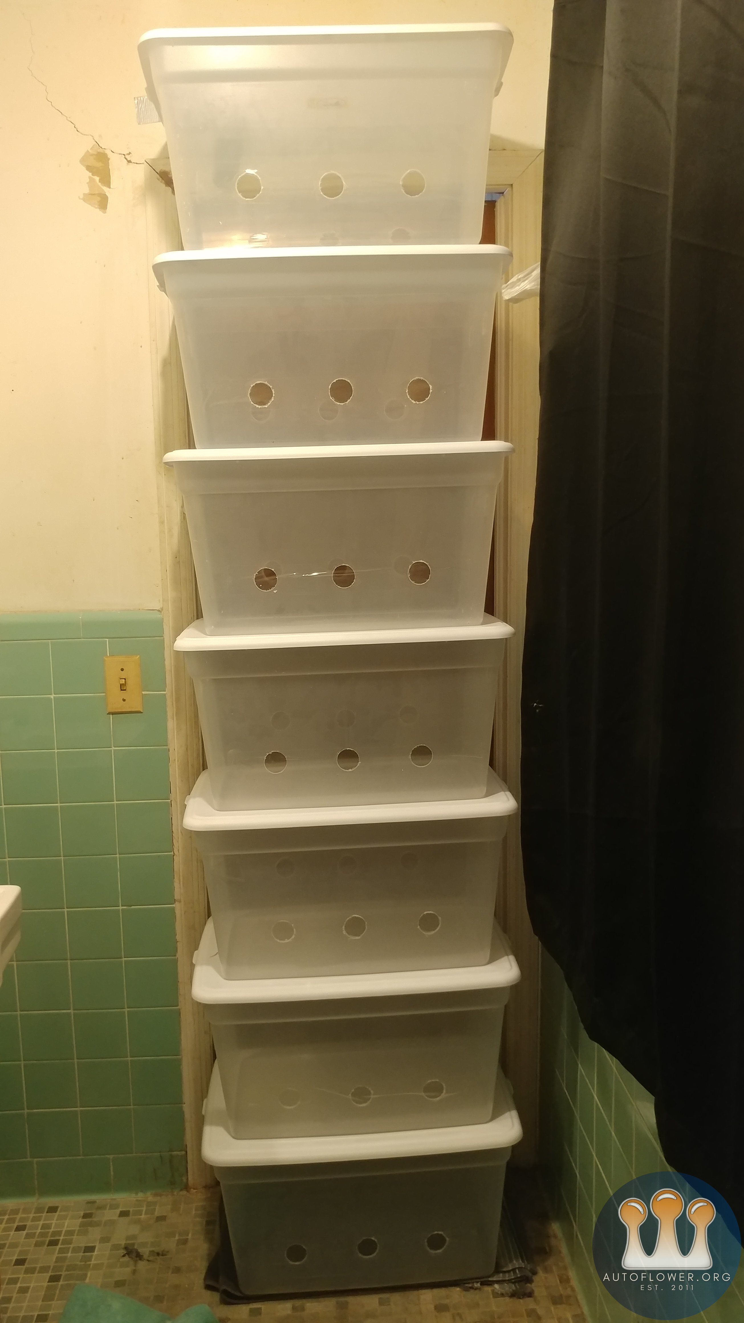 Mushroom Grow Setup