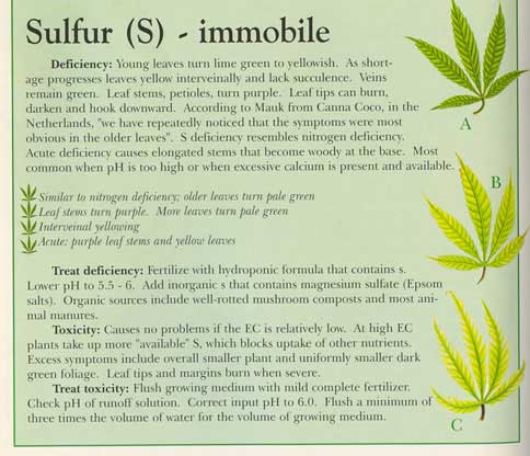 Sulphur-info-marijuana