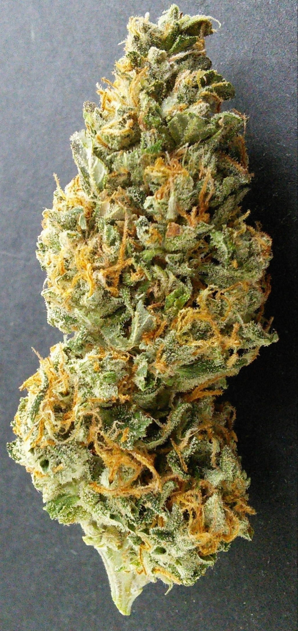 Super Skunk