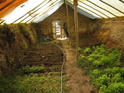 walipini-underground-greenhouse-400x300.jpg