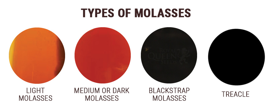 Sulphured and Unsulphured Molasses