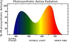 l-curve.gif