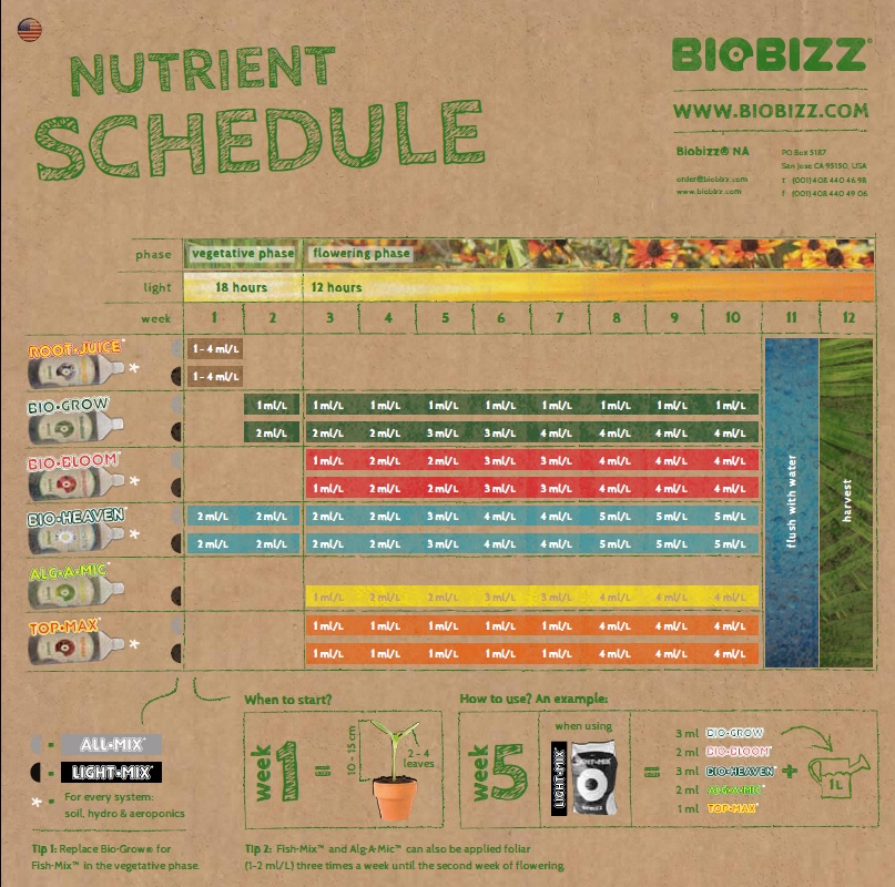 BioBizzfeedchart1.jpg