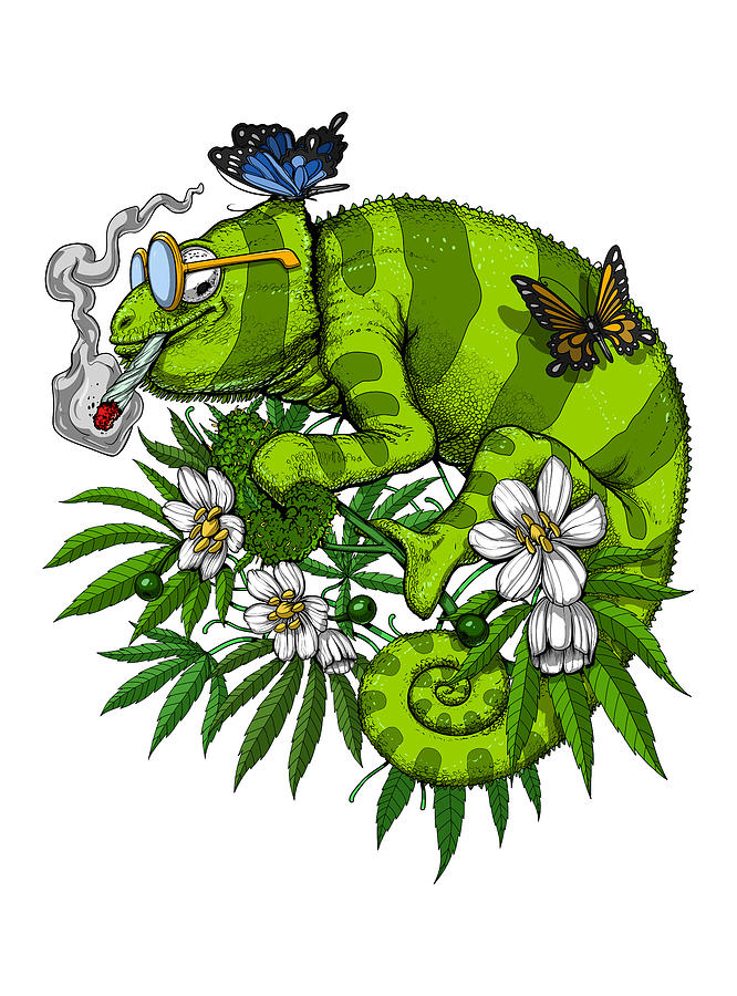 chameleon-smoking-weed-nikolay-todorov.jpg