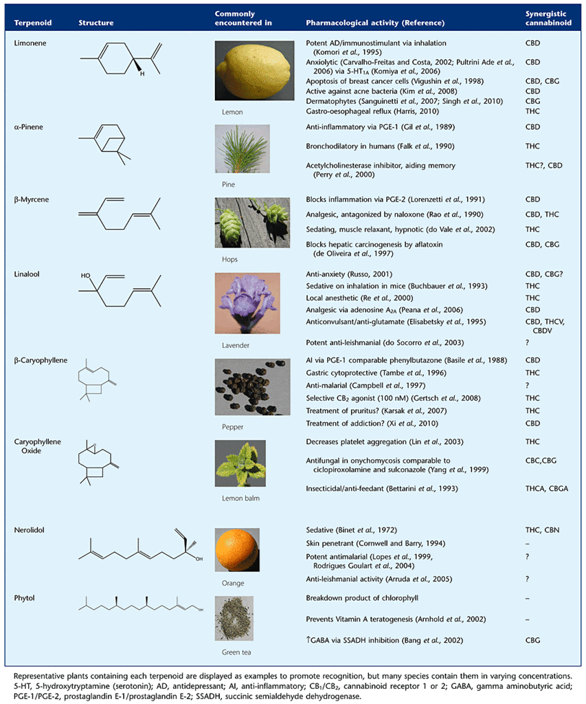 terpenes-2.gif