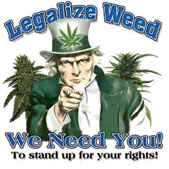 Legalize-Weed-uncle-sam.gif