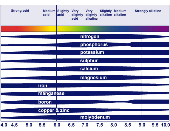 plant-nutrient-absorption-at-different-pH-2.jpg