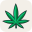 barcelonaweedmap.com