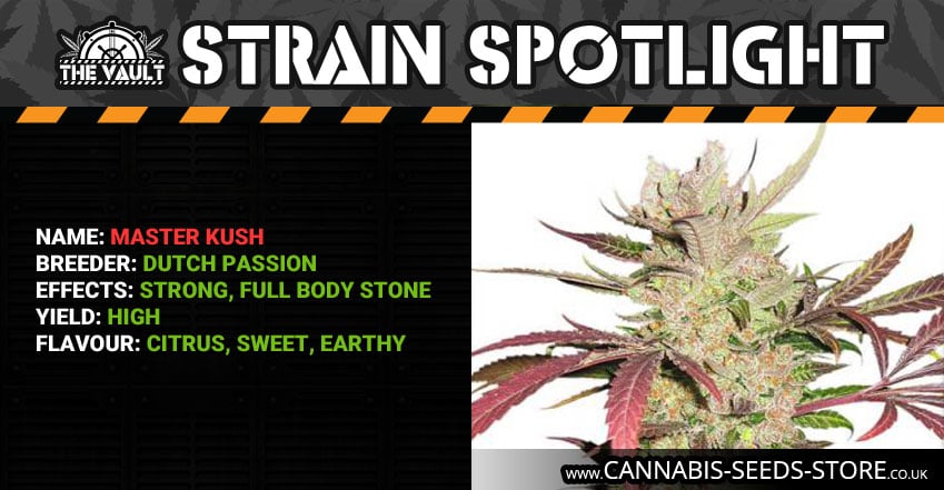 Strain_Spotlight_Master_Kush.jpg