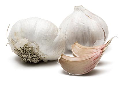 garlic.jpg