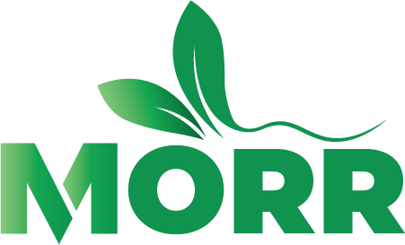 morr.com