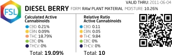 Diesel-Berry_Releaf-Center_FSL_5.7.2011.jpg