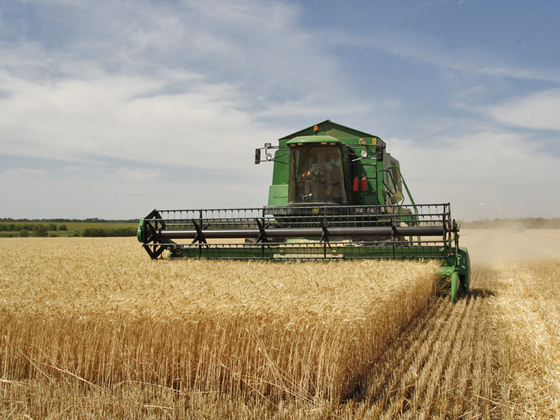 Agriculture_in_Volgograd_Oblast_002.JPG