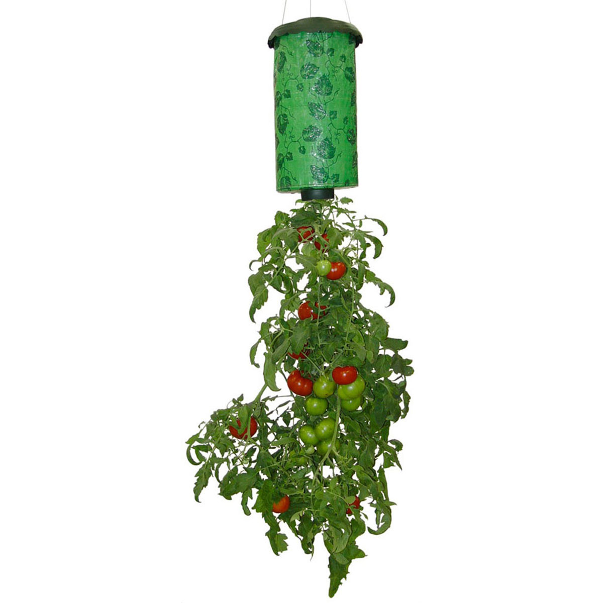 topsy-turvy-tomato_2.jpg