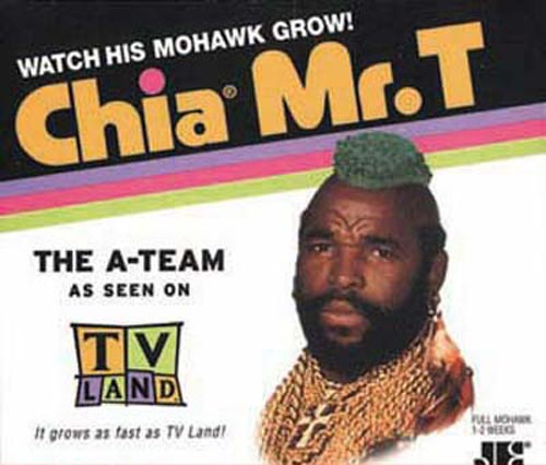 chia+pet+pictures+5.jpg