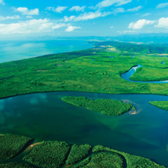 daintree-rainforest-9026_240x240.jpg