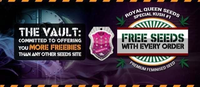 free_seeds_promo_oct_2014_alternative.jpg