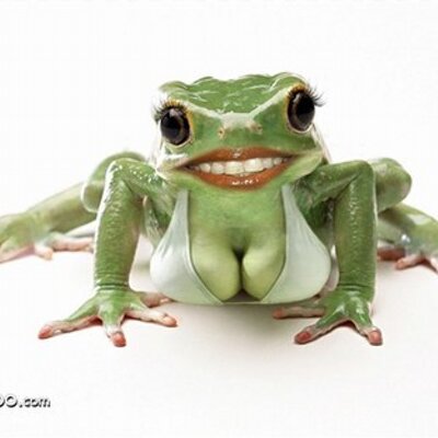 SEXY_FROG_400x400.jpg