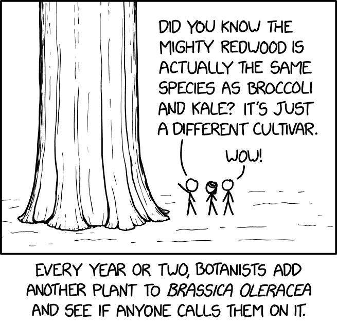 xkcd.com