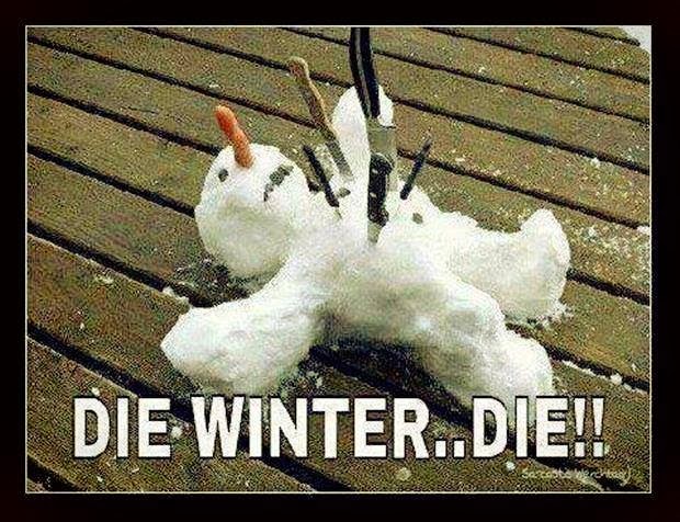 Die+winter.jpg