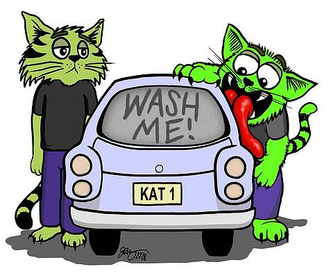 wash-me-cats-james-bogner.jpg