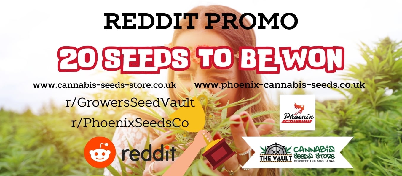 VaultRedditPromo.jpeg