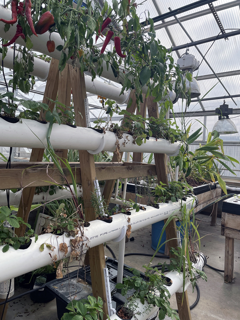 hydroponic-A-frame.jpg