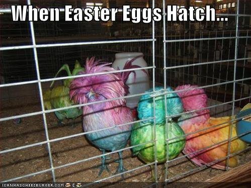 59404_easter_eggs_hatched.jpg