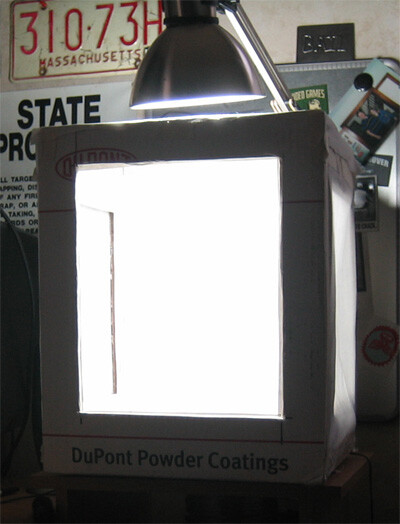 step8light-2.jpg