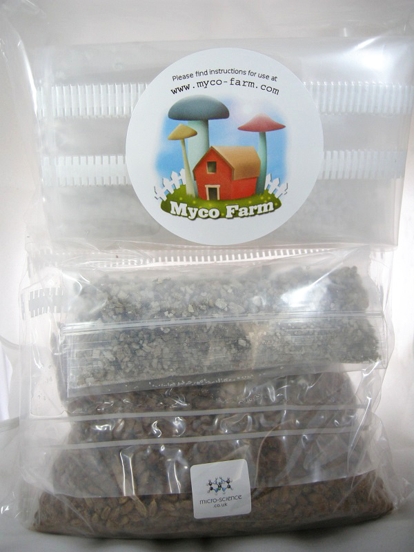 MycoFarm3_800white.jpg