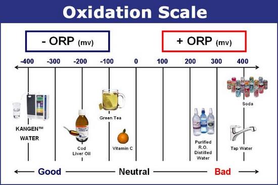 orpScale.jpg