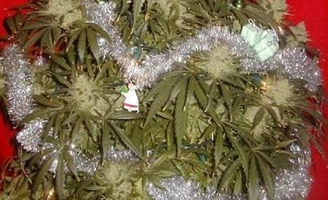 xmasweedtree.jpg