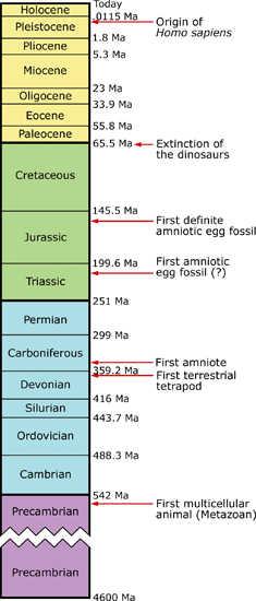 1_timescale.gif