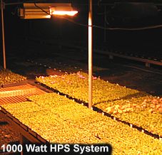 l-HPS-system.jpg