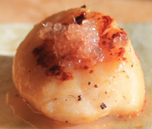 finger-lime-scallop2.jpg