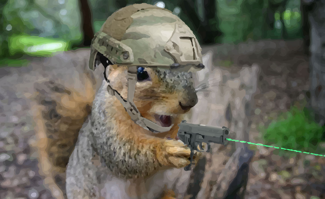 Squirrel.jpg