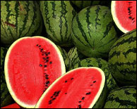 watermeloninfo04.jpg