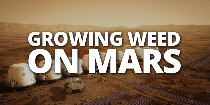 growing-weed-on-mars-hero.jpg