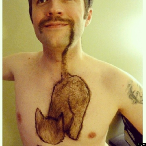 o-cat-shaped-chest-hair-570.jpg