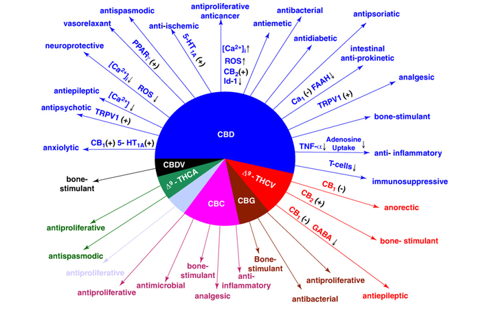 terpinoids2.jpg