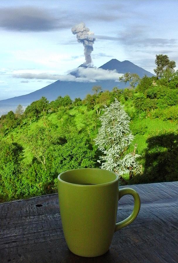 coffee-with-a-view-andrea-whitaker.jpg