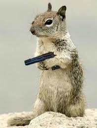 squirrel+gun.jpg