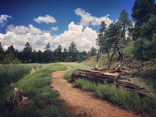 Picture_Canyon_Tom_Moody_Trail.jpg